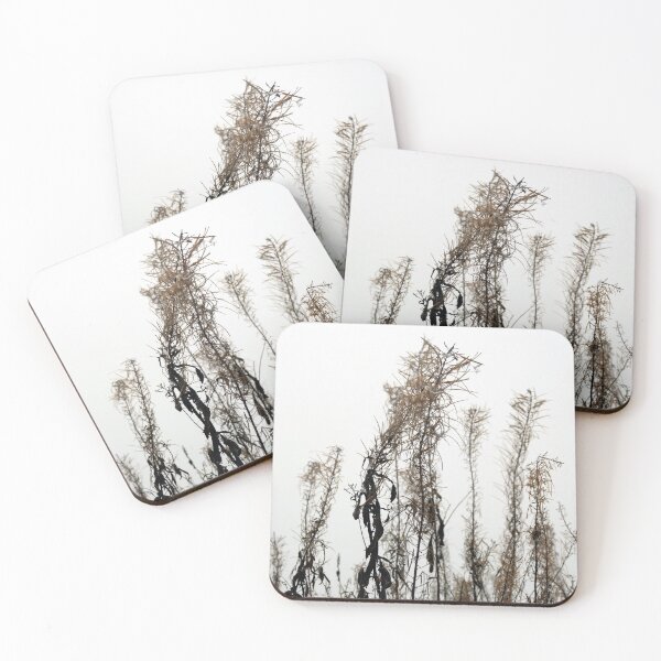 Item preview, Willow Herb in late Autumn designed and sold by paulboizot.