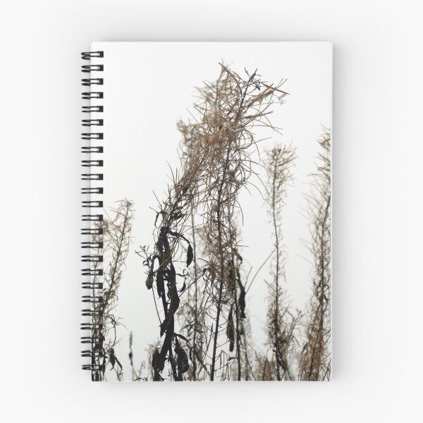 Item preview, Willow Herb in late Autumn designed and sold by paulboizot.