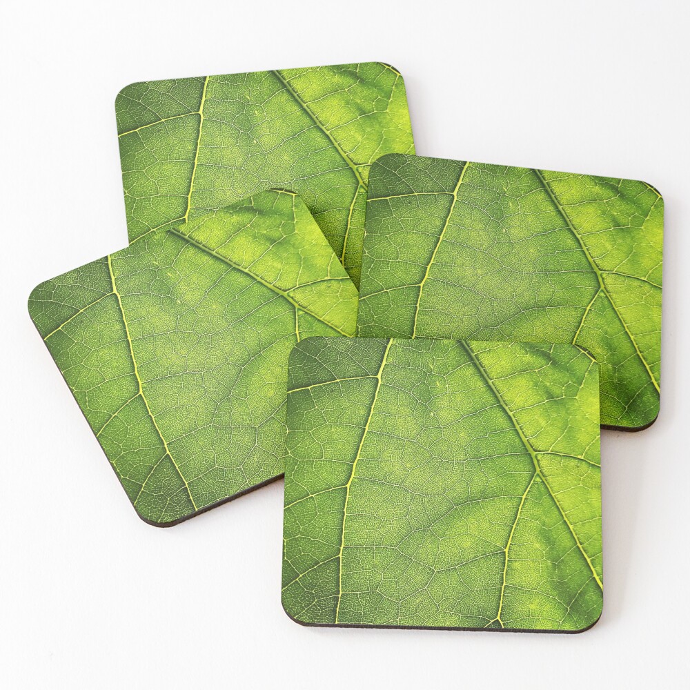 Item preview, Coasters (Set of 4) designed and sold by PatternTree.