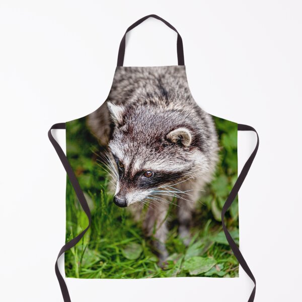 Item preview, Raccoon designed and sold by Dalyndigital Photography.
