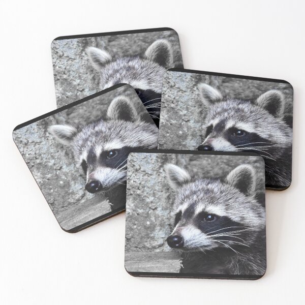 Item preview, Nice raccoon designed and sold by Glineur.