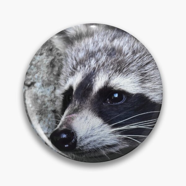 Item preview, Nice raccoon designed and sold by Glineur.
