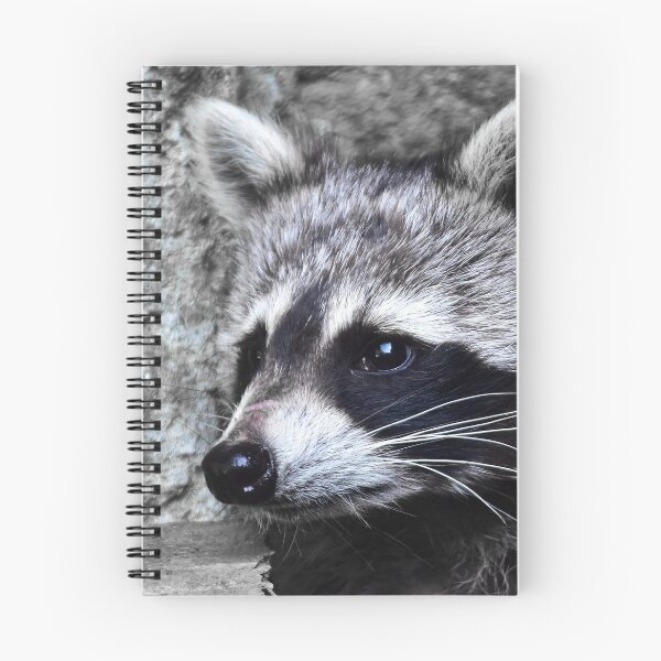 Item preview, Nice raccoon designed and sold by Glineur.