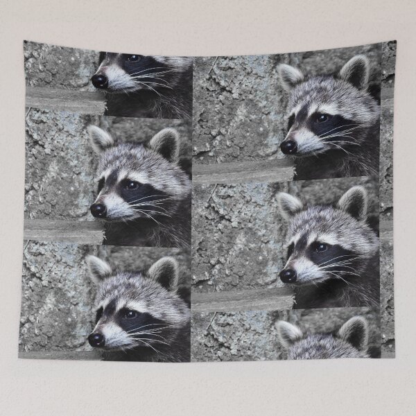 Item preview, Nice raccoon designed and sold by Glineur.