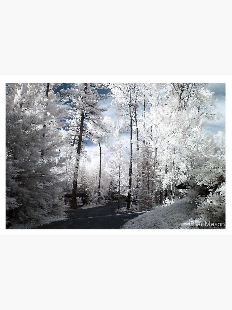 Thumbnail 5 of 5, Mask, Infrared Summer View at Bearskin Lodge designed and sold by Char Mason.