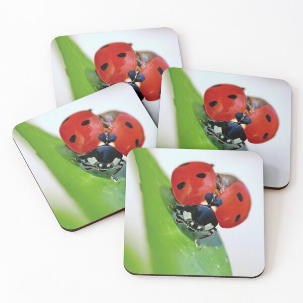 Item preview, THE STAR : 1 (h) coccinelle-ladybug by Olao-Olavia / Okaio Créations 2015  by fz 1000 450.000  designed and sold by o.okaïo.