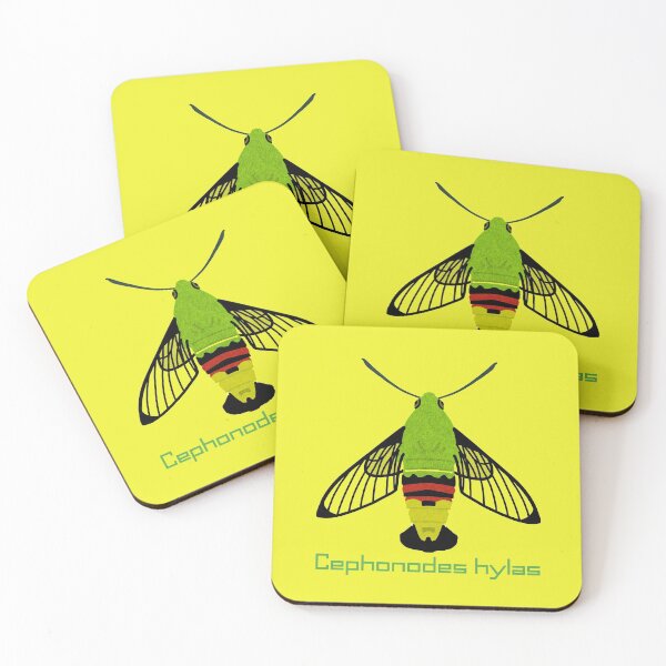 Item preview, Pellucid hawk moth designed and sold by morisachi713.