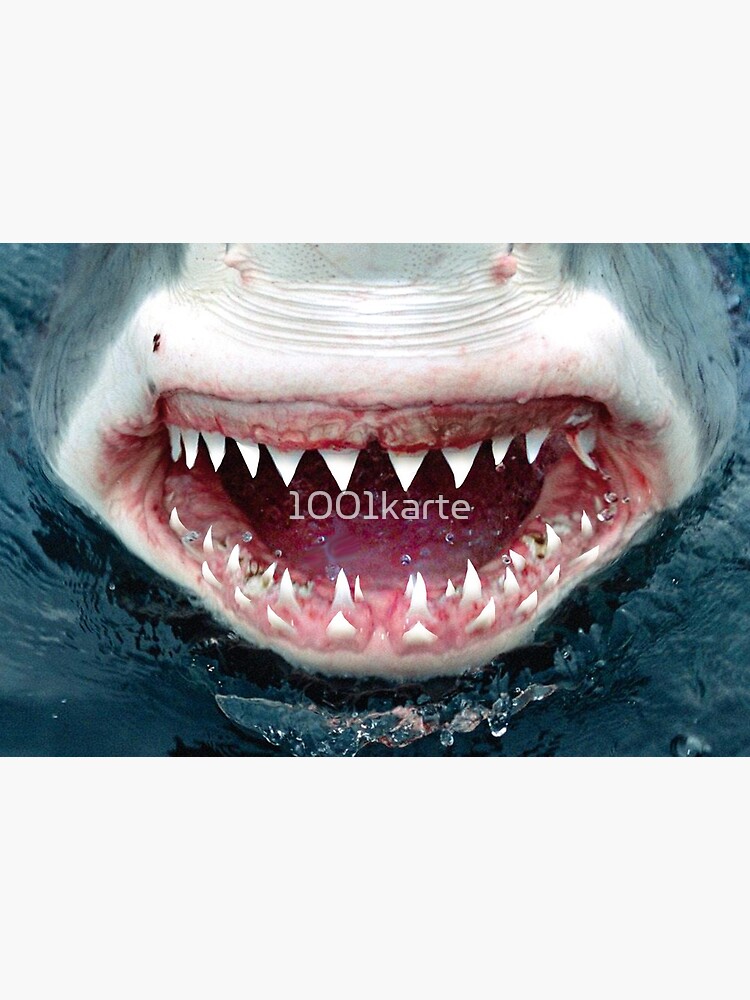 Shark Mouth Stylish Face Mask