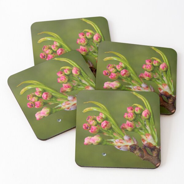 Item preview, Cherry Blossom Flowers and a Drop designed and sold by Jeremy Hayden.