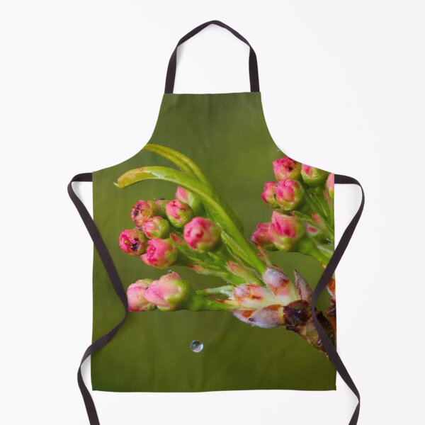 Item preview, Cherry Blossom Flowers and a Drop designed and sold by Jeremy Hayden.