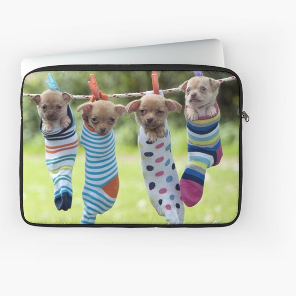 Four Funny, Silly Chihuahua Puppies in Socks Laptop Sleeve
