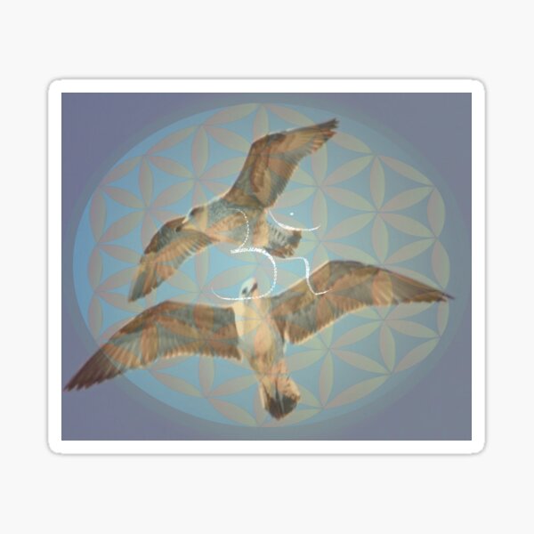 Seagulls pair om Sticker