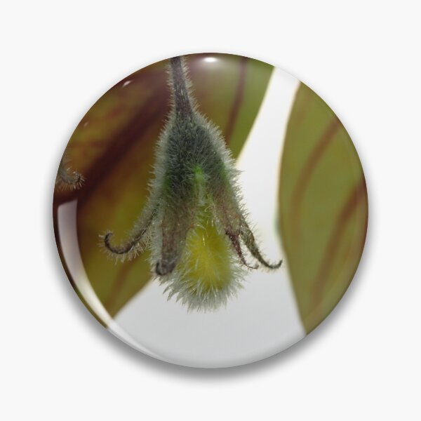Item preview, Feuilles suspendues designed and sold by E-Maniak.