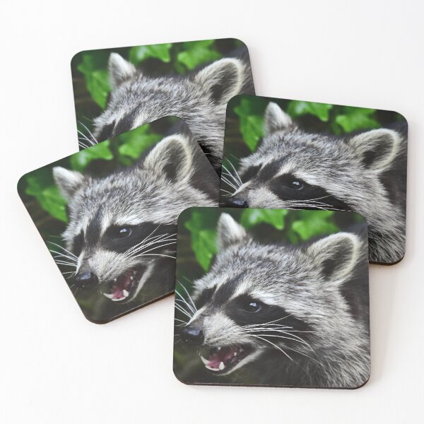 Item preview, racoon designed and sold by Glineur.