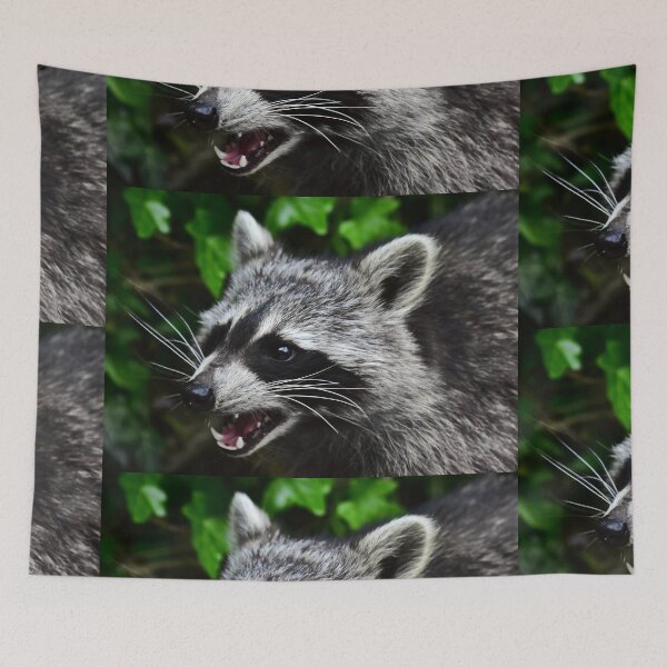 Item preview, racoon designed and sold by Glineur.