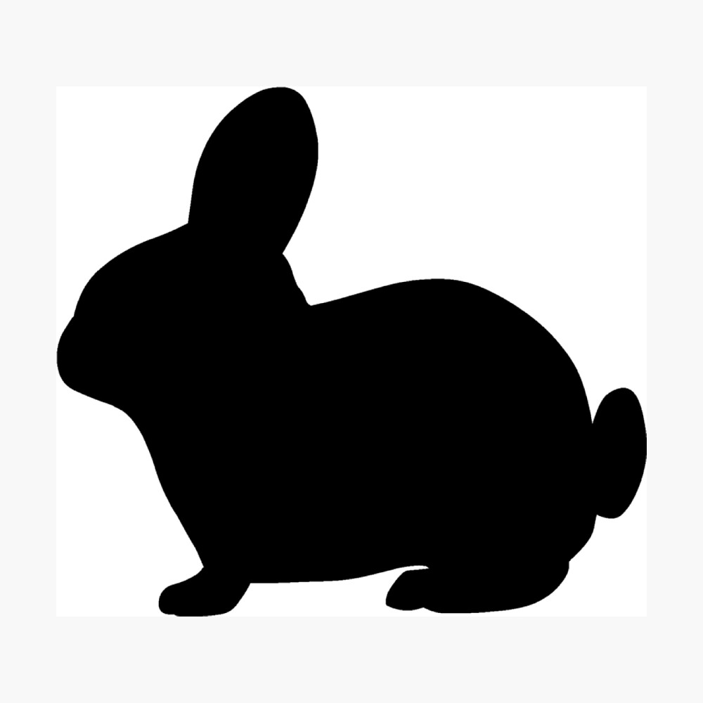 Buy Frozen Rabbits Online Freshness Guaranteed atelieryuwa.ciao.jp