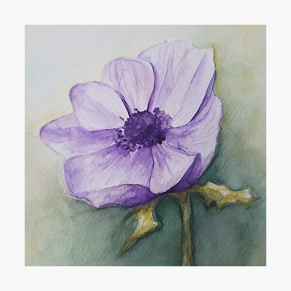Purple flower watercolour Photographic Print