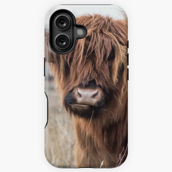 Vista previa del artículo con la obra «Retrato de una vaca de las tierras altas», diseñado y vendido por Akos Akos.