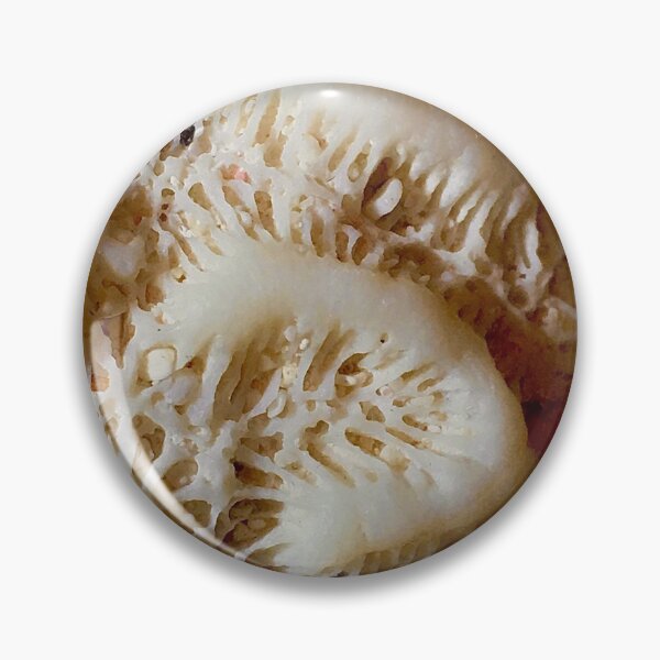Item preview, Caribbean Coral designed and sold by sandpiperstudio.