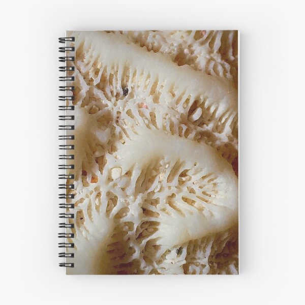 Item preview, Caribbean Coral designed and sold by sandpiperstudio.
