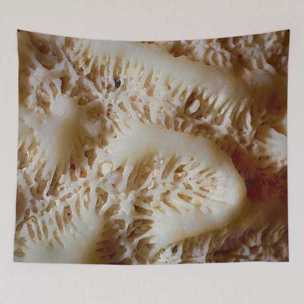 Item preview, Caribbean Coral designed and sold by sandpiperstudio.