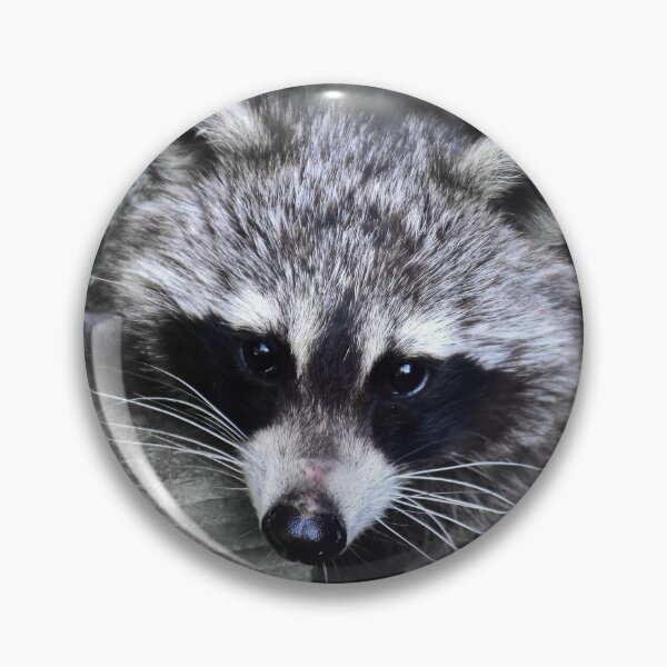 Item preview, Shy raccoon designed and sold by Glineur.