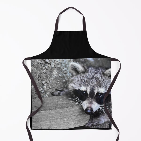 Item preview, Shy raccoon designed and sold by Glineur.