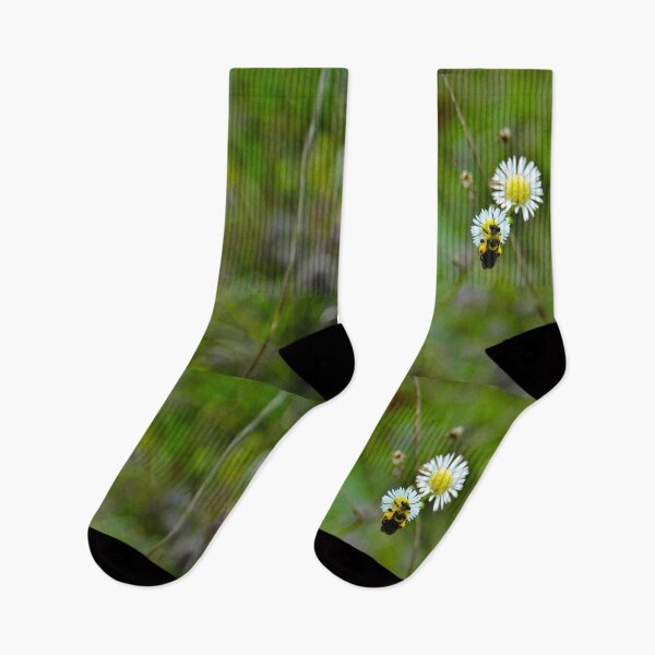 Item preview, Baby Bumble Bee on a White Daisy designed and sold by Robert Link.