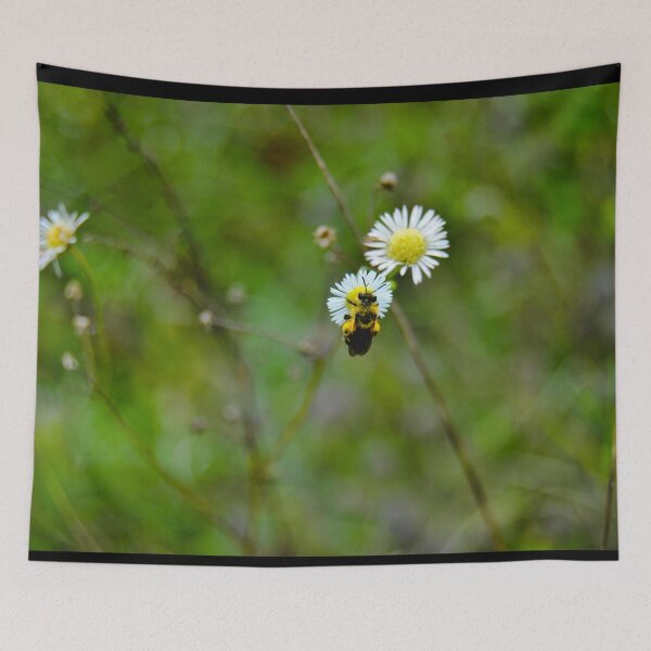 Item preview, Baby Bumble Bee on a White Daisy designed and sold by Robert Link.