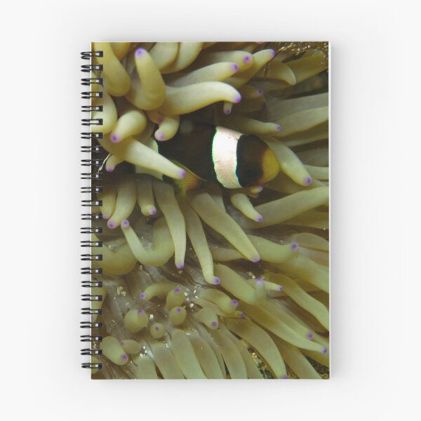 Item preview, Clownfish Underwater designed and sold by Belcibol.