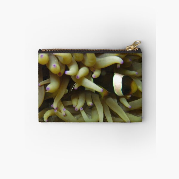 Item preview, Clownfish Underwater designed and sold by Belcibol.