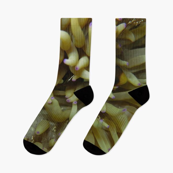 Item preview, Clownfish Underwater designed and sold by Belcibol.