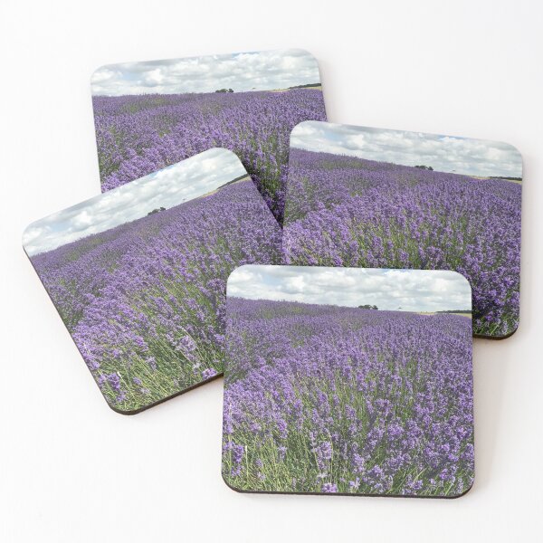 Artikelvorschau, Snowshill Lavender, Cotswolds, England entworfen und verkauft von emmajw09.