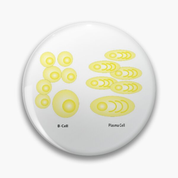Item preview, B-Cells & Plasma Cells designed and sold by Green Star Shop.