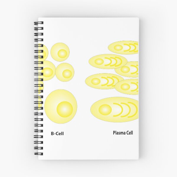Item preview, B-Cells & Plasma Cells designed and sold by Green Star Shop.