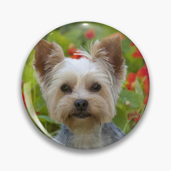 Artikelvorschau, Yorkshire Terrier mit Blumen entworfen und verkauft von ScienceSource.