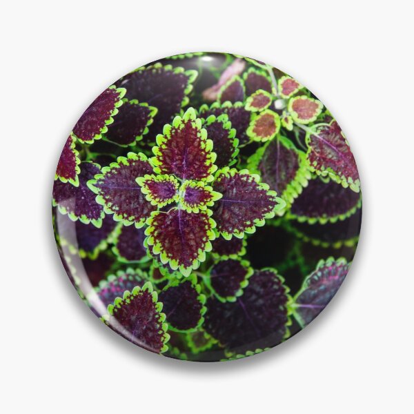 Item preview, pattern designed and sold by Shopini.