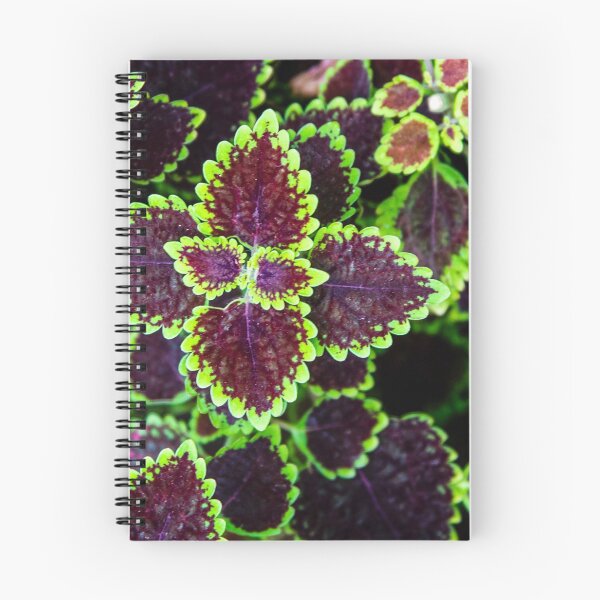 Item preview, pattern designed and sold by Shopini.