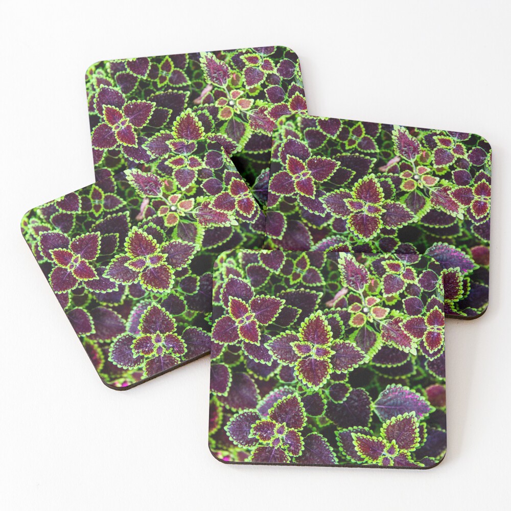 Item preview, Coasters (Set of 4) designed and sold by Shopini.