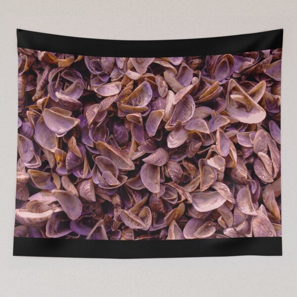 Item preview, Sea Shells Pattern Print - Port Stanley Beach designed and sold by Robert Link.