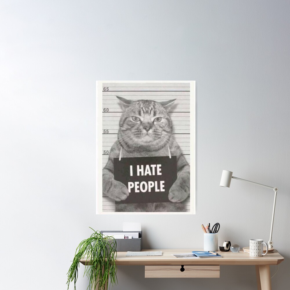 That's What I Do I Craft Stuff I Hate People And I Know Things Cat Poster