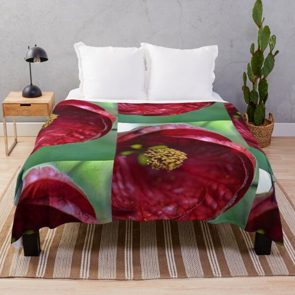 Item preview, Abutilon designed and sold by Deborah Clearwater.