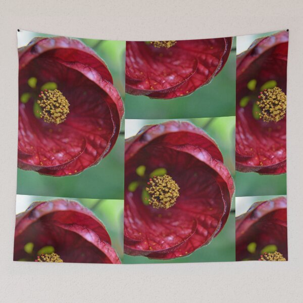 Item preview, Abutilon designed and sold by Deborah Clearwater.