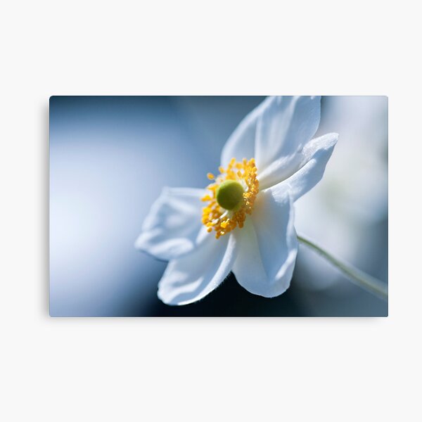 A Little Bit Of Yellow Metal Print