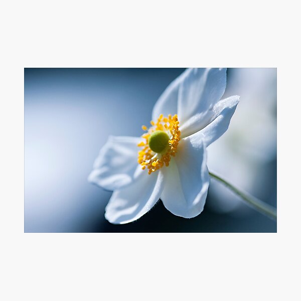 Item preview, A Little Bit Of Yellow designed and sold by iltby.
