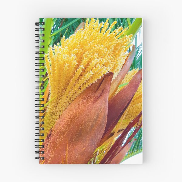 Item preview, Palm tree designed and sold by CSouissi.