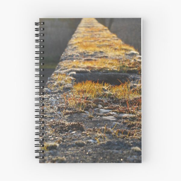 Item preview, Moss growing atop a concrete wall. designed and sold by Billlee.