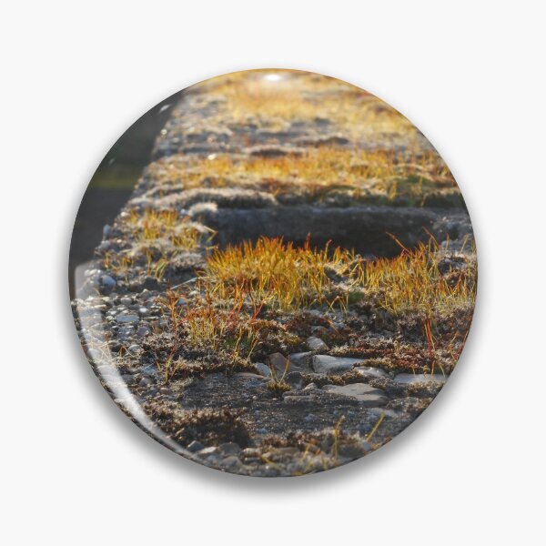 Item preview, Moss growing atop a concrete wall. designed and sold by Billlee.