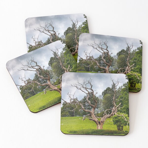 Item preview, Dead tree designed and sold by jasminewang.