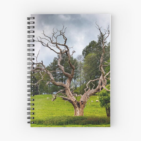 Item preview, Dead tree designed and sold by jasminewang.